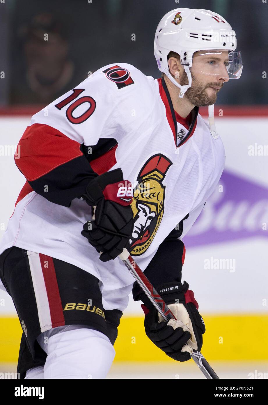NHL profile photo on Ottawa Senators' Tom Pyatt at a game against the  Calgary Flames in Calgary, Alberta on Oct. 28, 2016. (Larry MacDougal via  AP Stock Photo - Alamy