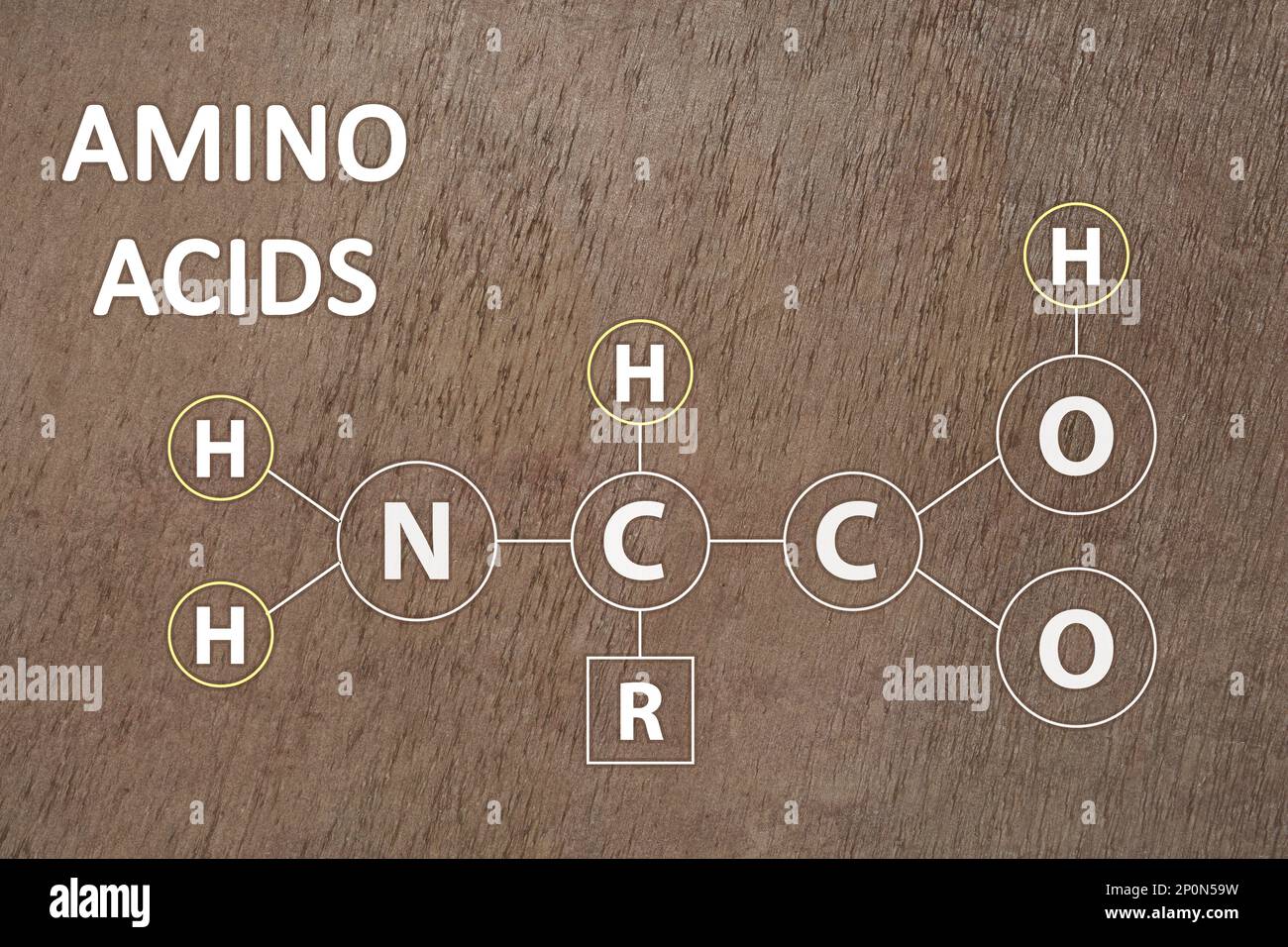 Text Amino Acids and chemical formula on brown stone surface Stock