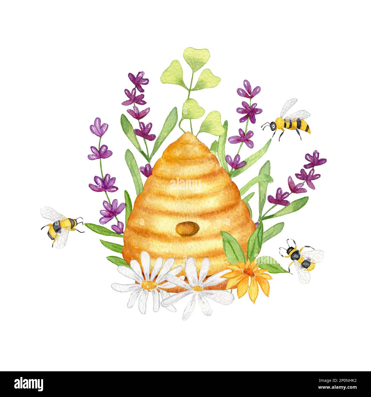 Watercolor illustration with a wild Beehive in Lavender and Chamomile flowers. Bees, wild flowers and grass. Design for products with honey. Isolated Stock Photo