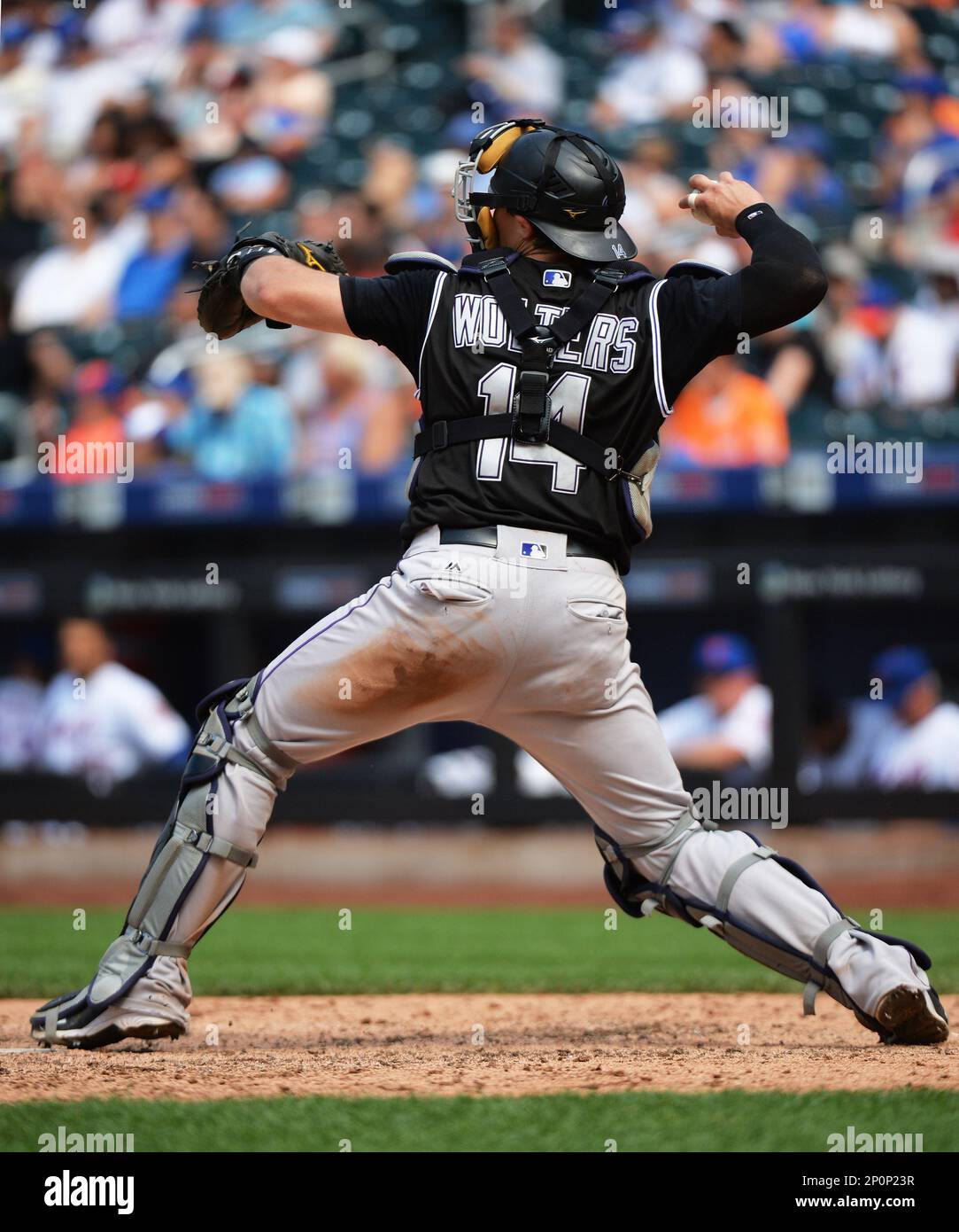 Colorado Rockies catcher Tony Walters (14) during game against the New York  Mets at Citi Field in Queens, New York, July 28, 2016. Rockies defeated  Mets 2-1. (Tomasso DeRosa via AP Stock Photo - Alamy