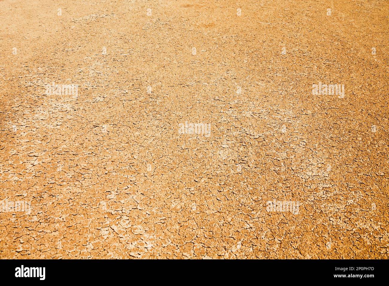 White alkali soil hires stock photography and images Alamy
