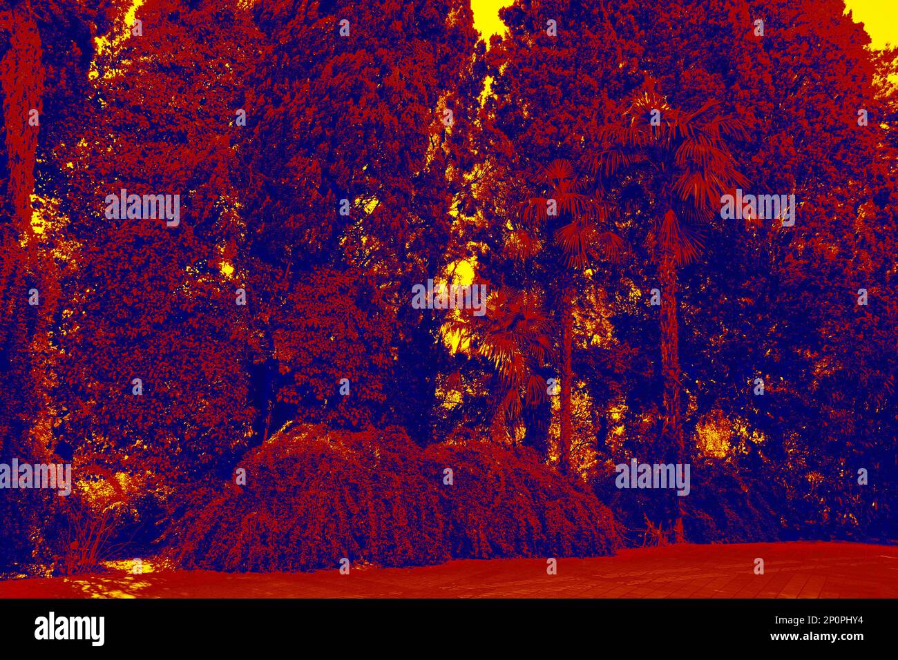 The Botanical Garden as a branch of the Garden of Eden. Illustration of