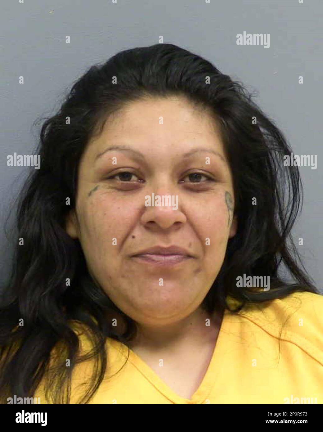 FILE - This March 11, 2016 file photo, provided by the Curry County ...