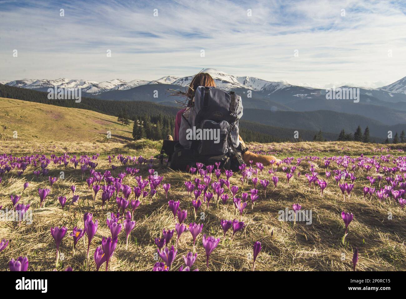 Back view hiker woman backpack hi-res stock photography and images - Alamy