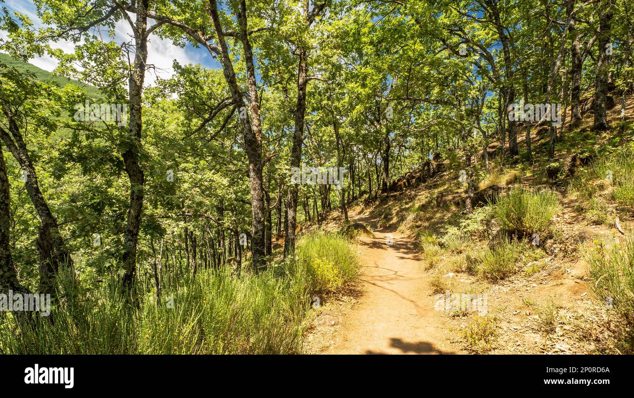 Garganta De Los Infiernos Natural Reserve Valle Del Jerte Spanish garganta-de-los-infiernos-natural-reserve-valle-del-jerte-spanish