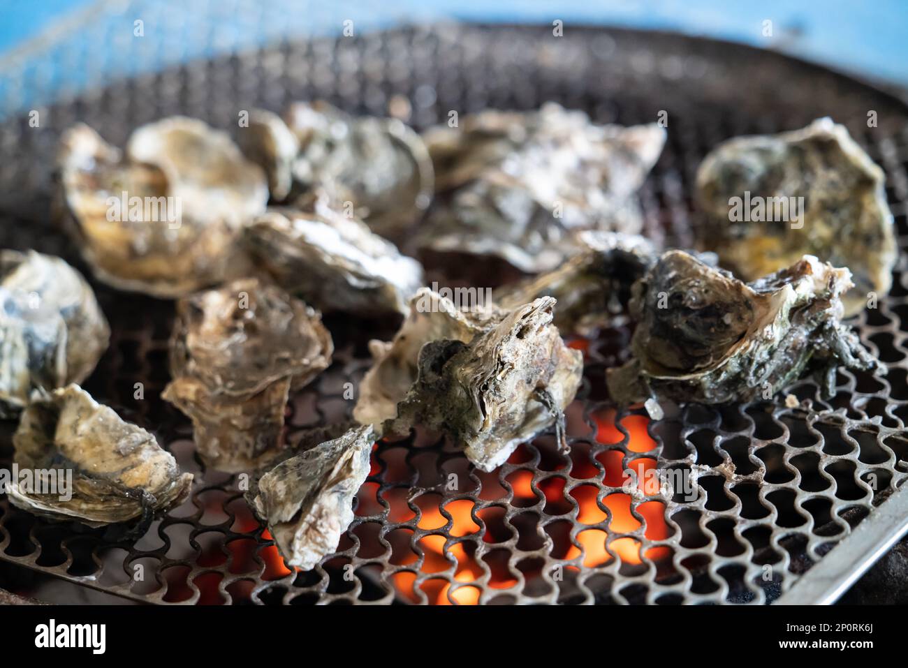Grilled fresh oyster in Tainan, Taiwan, the famous Taiwanese street food gourmet. Stock Photo