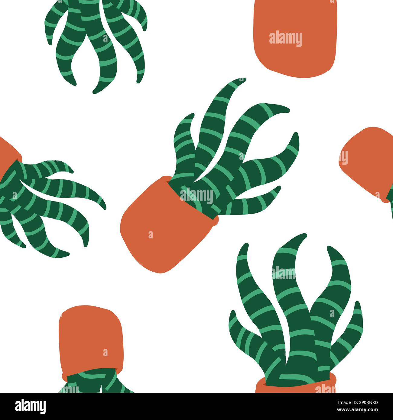 Cacti pattern. Vector illustration in cartoon flat style isolated on white background. Stock Vector