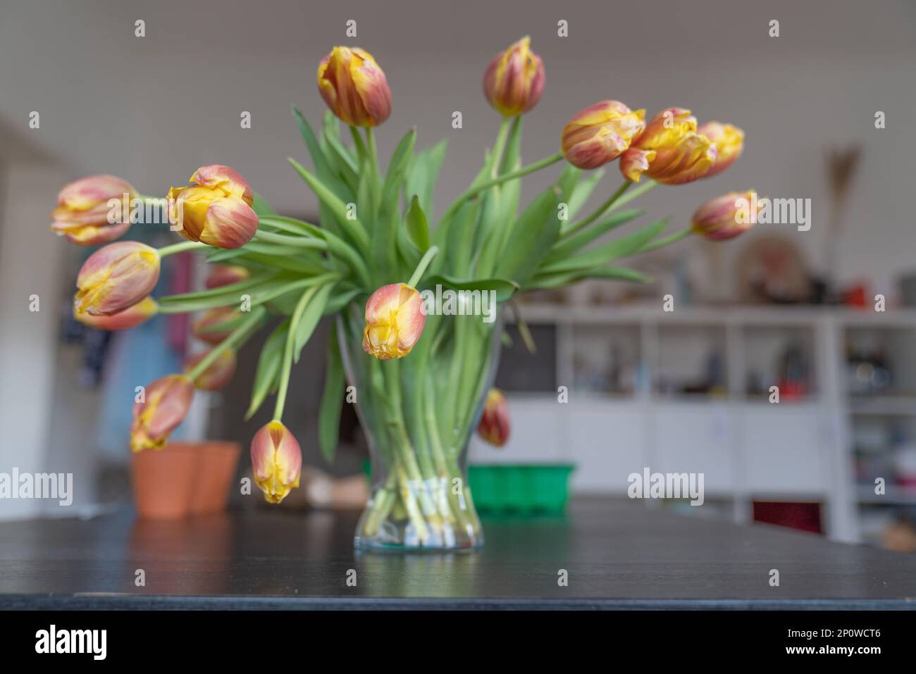 Bouquet of tulips in a transparent vase on the table in the apartment with a wardrobe on the background. Stock Photo