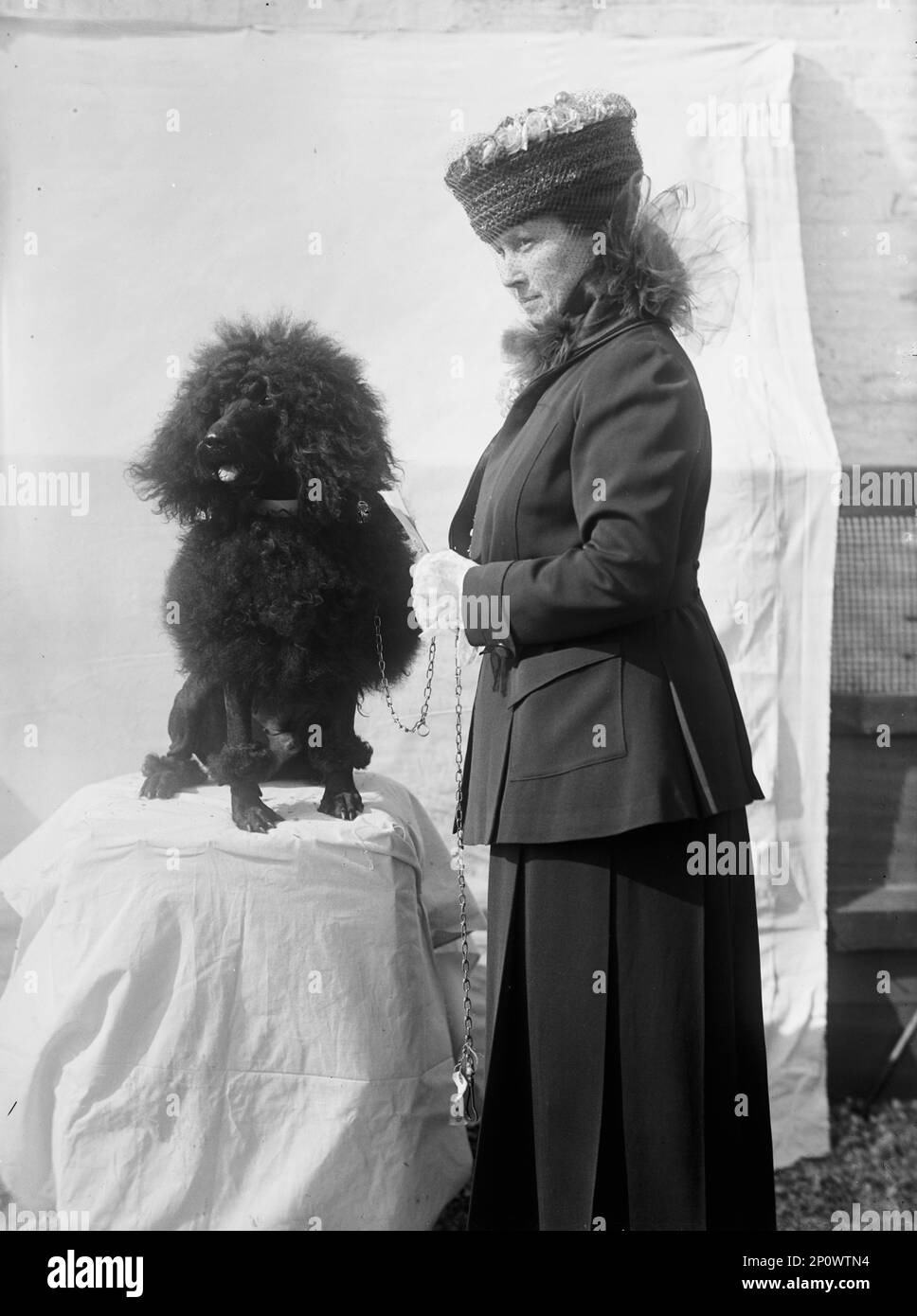Mrs Goff - Dog Show, 1915. Stock Photo