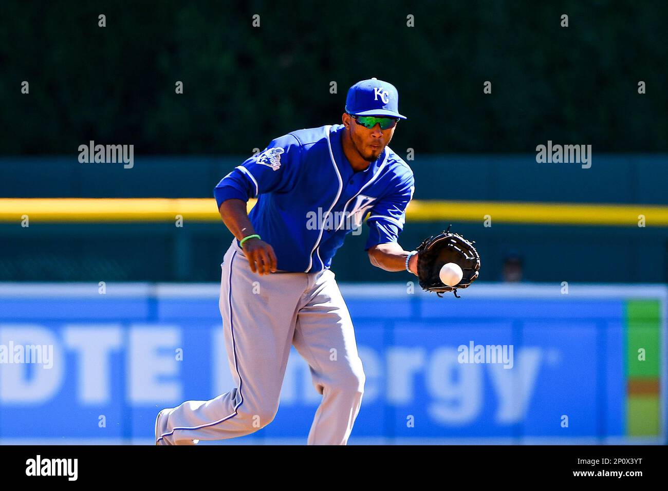 A Royal wedding: Catcher Salvador Perez shares photos of big day, FOX 4  Kansas City WDAF-TV