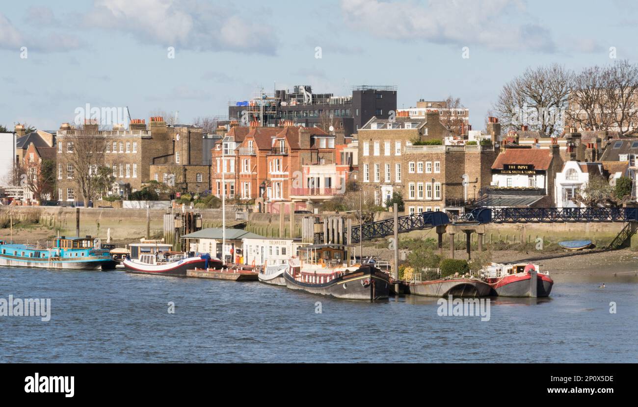 The Dove Public House and riverside property facing the River Thames