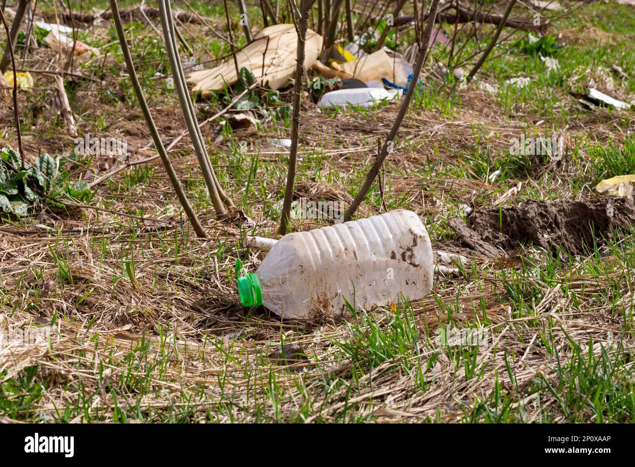 Spring forest stream river garbage waste plastic tire glass bottles