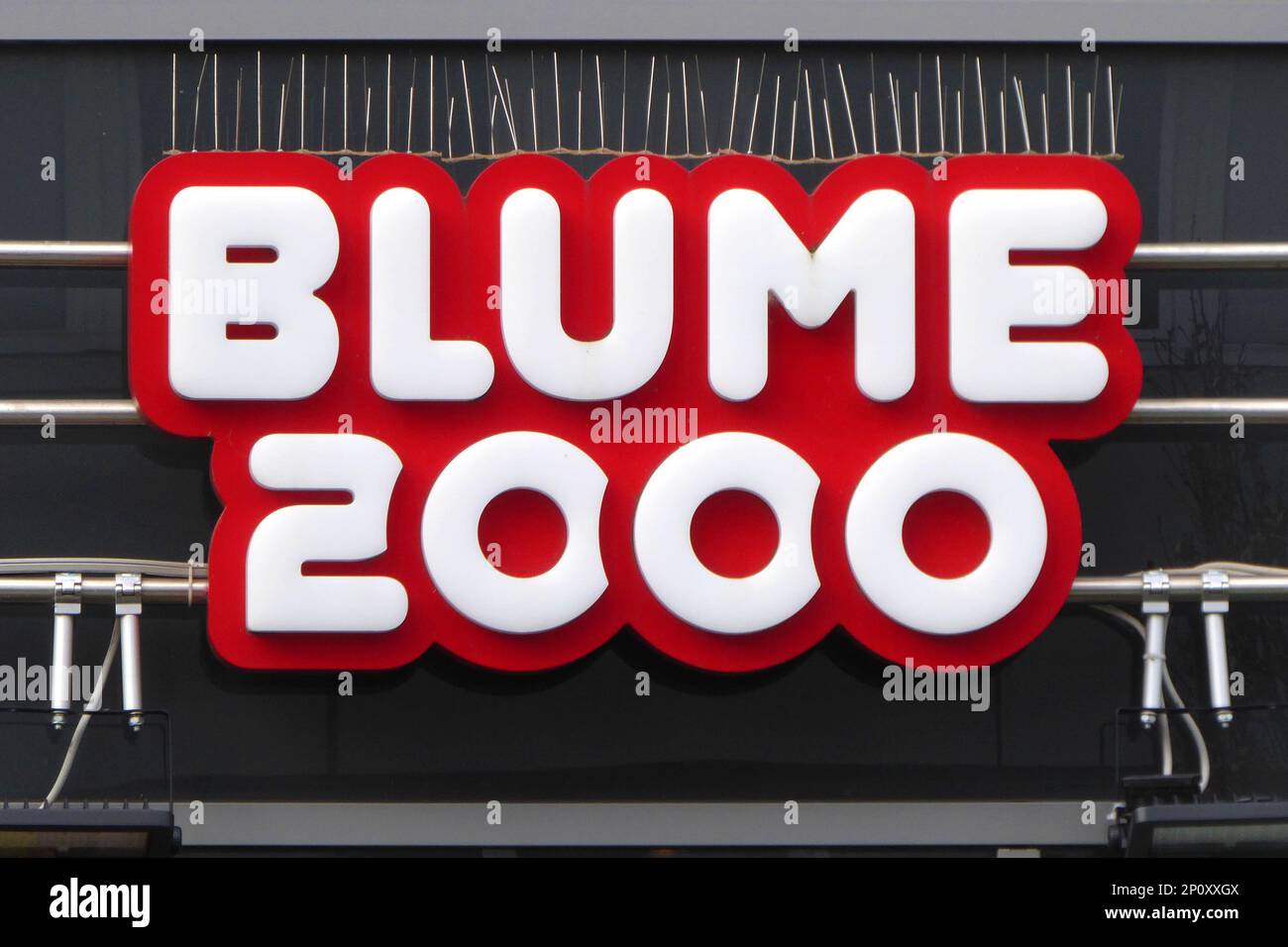 Blume 2000 / Blumendiscounter / Blumengeschaeft / Logo Stock Photo Alamy