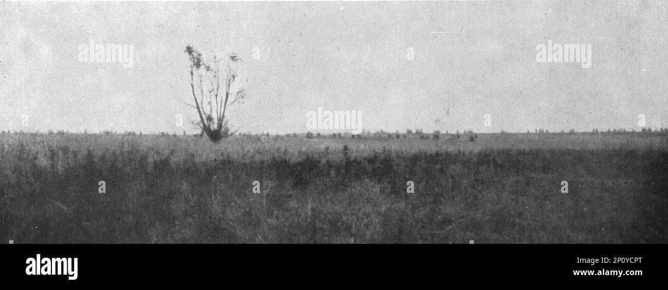 1916 Guerre 14-18 photo tranchée française près Cléry Somme 1916 Guerre 14-18 photo tranchée française près Cléry Somme