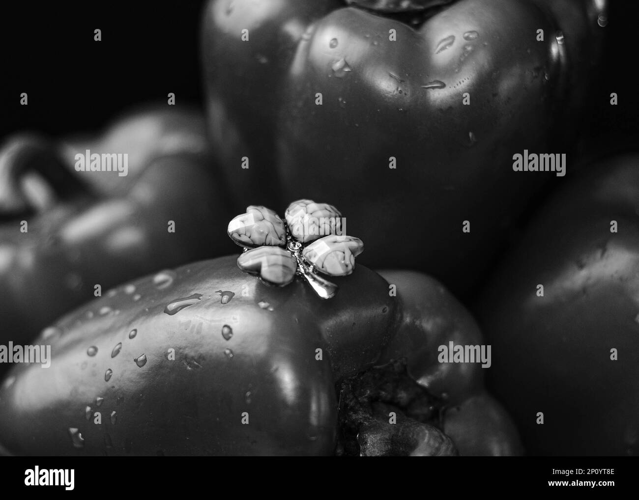 Toy peppers Black and White Stock Photos & Images Alamy