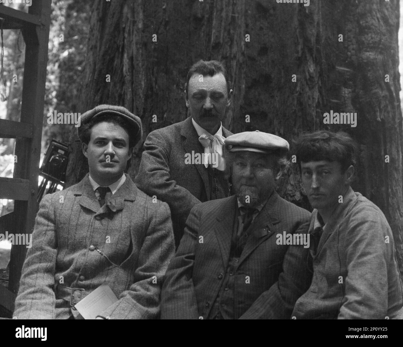 Sterling, George and Herman Scheffauer, with two other men, in front of a redwood, between 1906 and 1911. Stock Photo