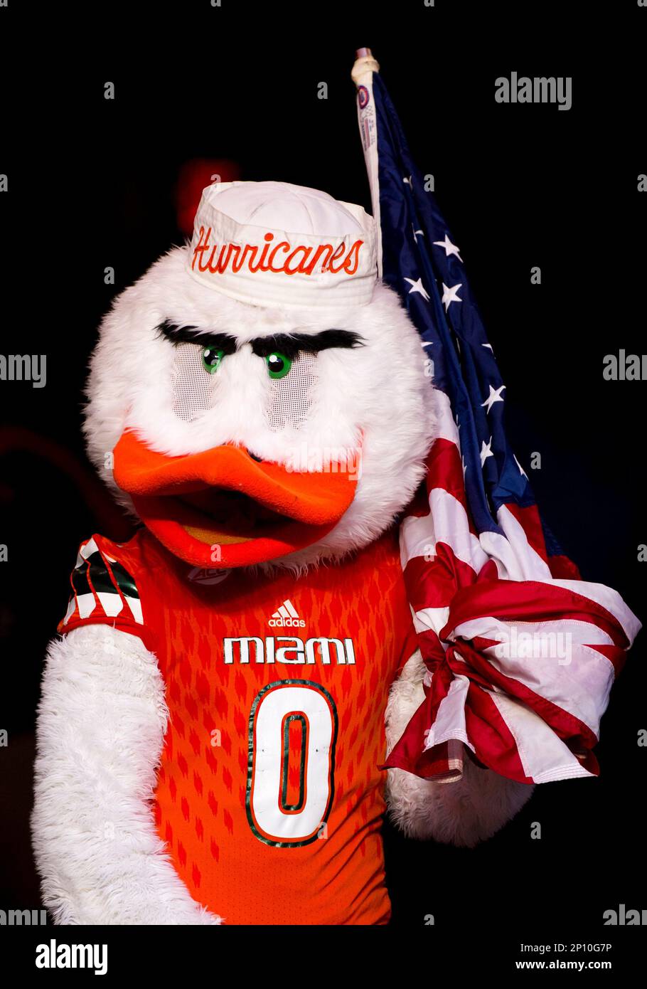 03-september-2016-university-of-miami-mascot-sebastian-the-ibis-holds