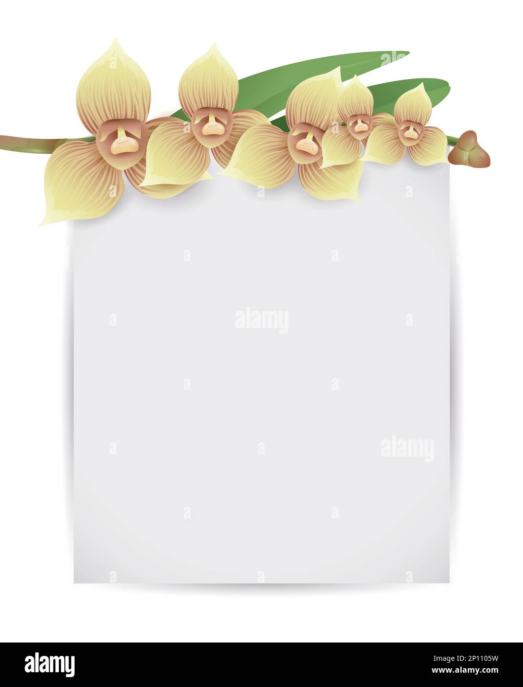 Floral template with blank label hanging from a flowering branch with orchids. Stock Vector