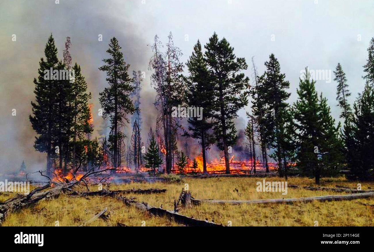 This undated photo provided by Yellowstone National Park shows a fire