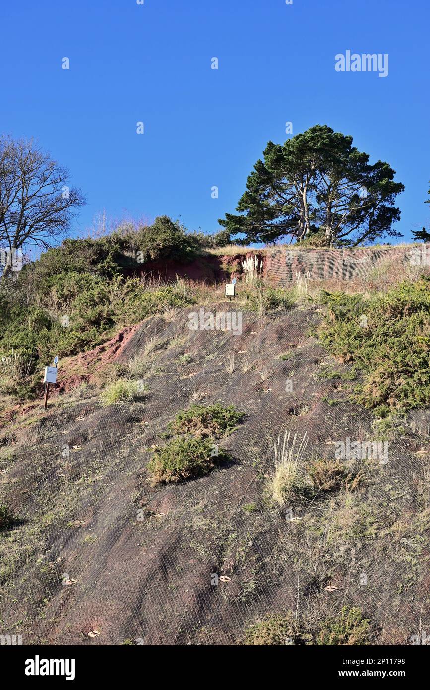 Protecting the railway at Teignmouth from cliff falls, using wire netting bolted to the cliffside above catch fencing. Stock Photo