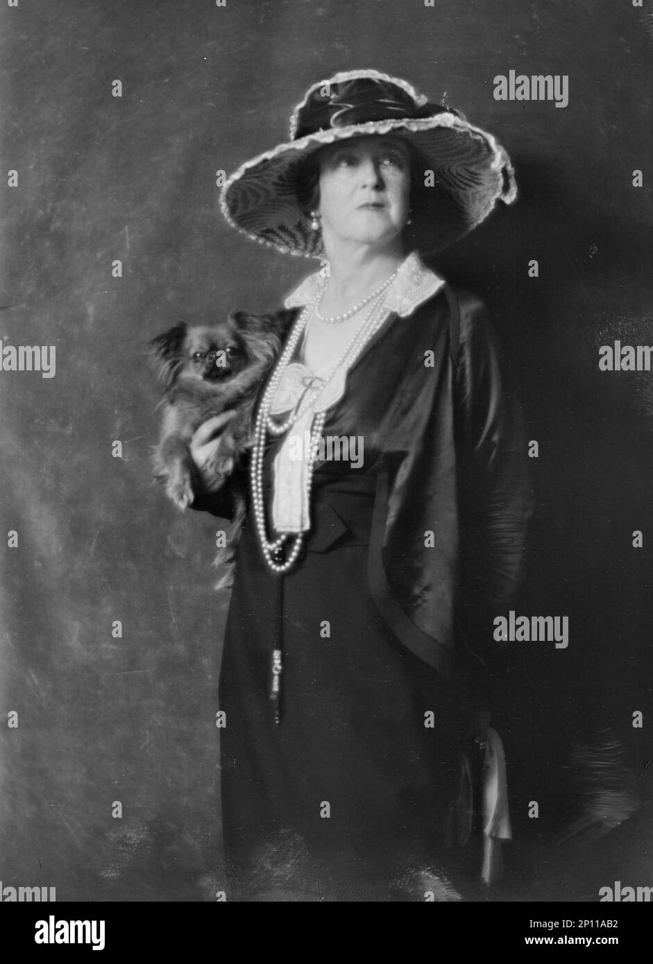 Duff-Gordon, Lady, with dog, portrait photograph, not before 1916. Stock Photo