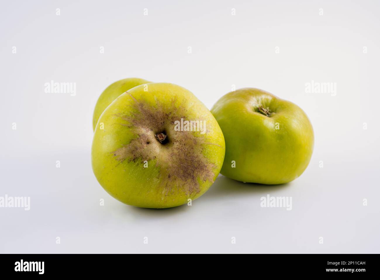 traditional Bramley green cooking apples used for pies stews jams chutneys crumbles isolated on a white backgrounnd Stock Photo