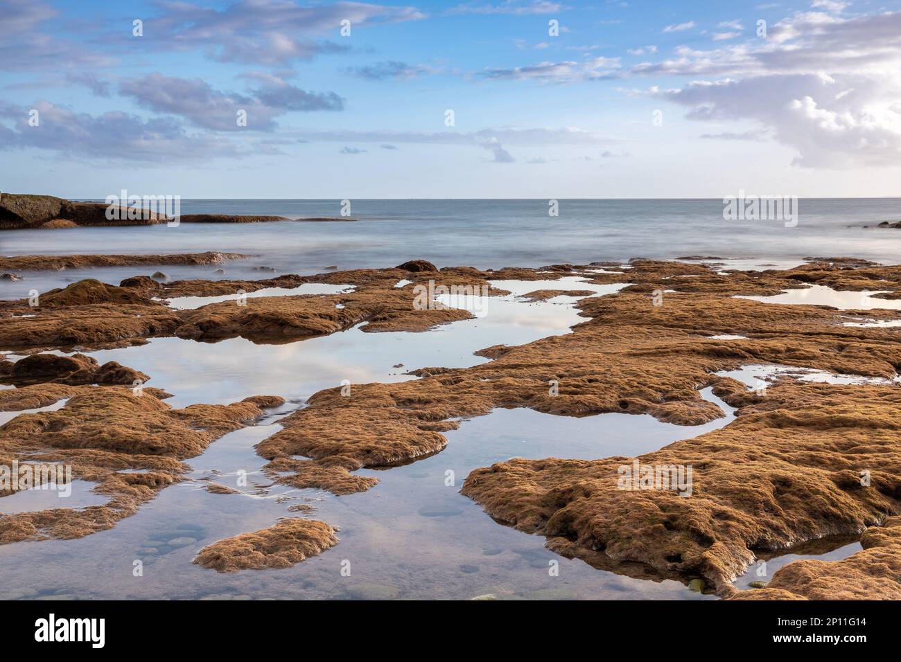 La Caleta beach, Costa Adeje, Tenerife, Spain Stock Photo