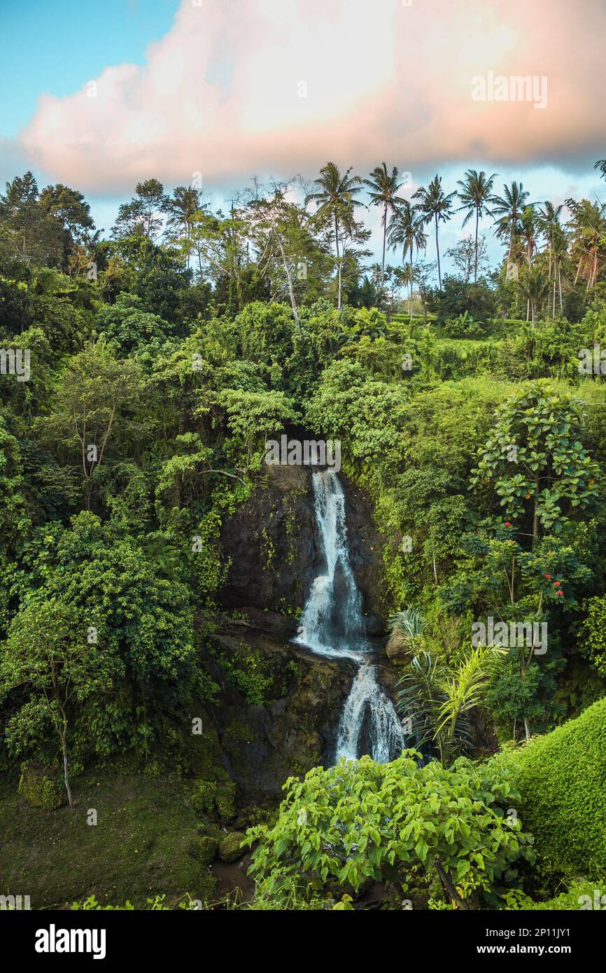 A waterfall in Bali jungle forest. Ubud, Bali Island, Indonesia Stock ...