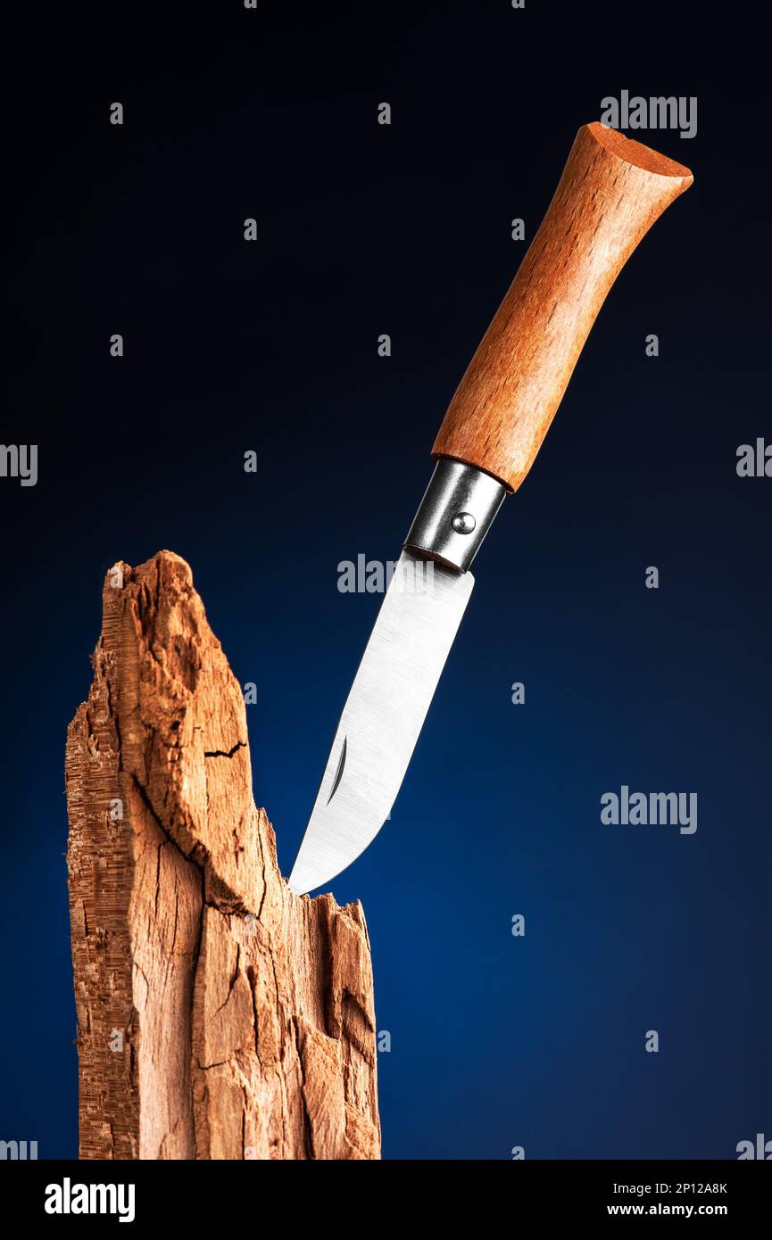Pocket knife with wooden grip stuck in the wood on dark blue gradient background. Stock Photo