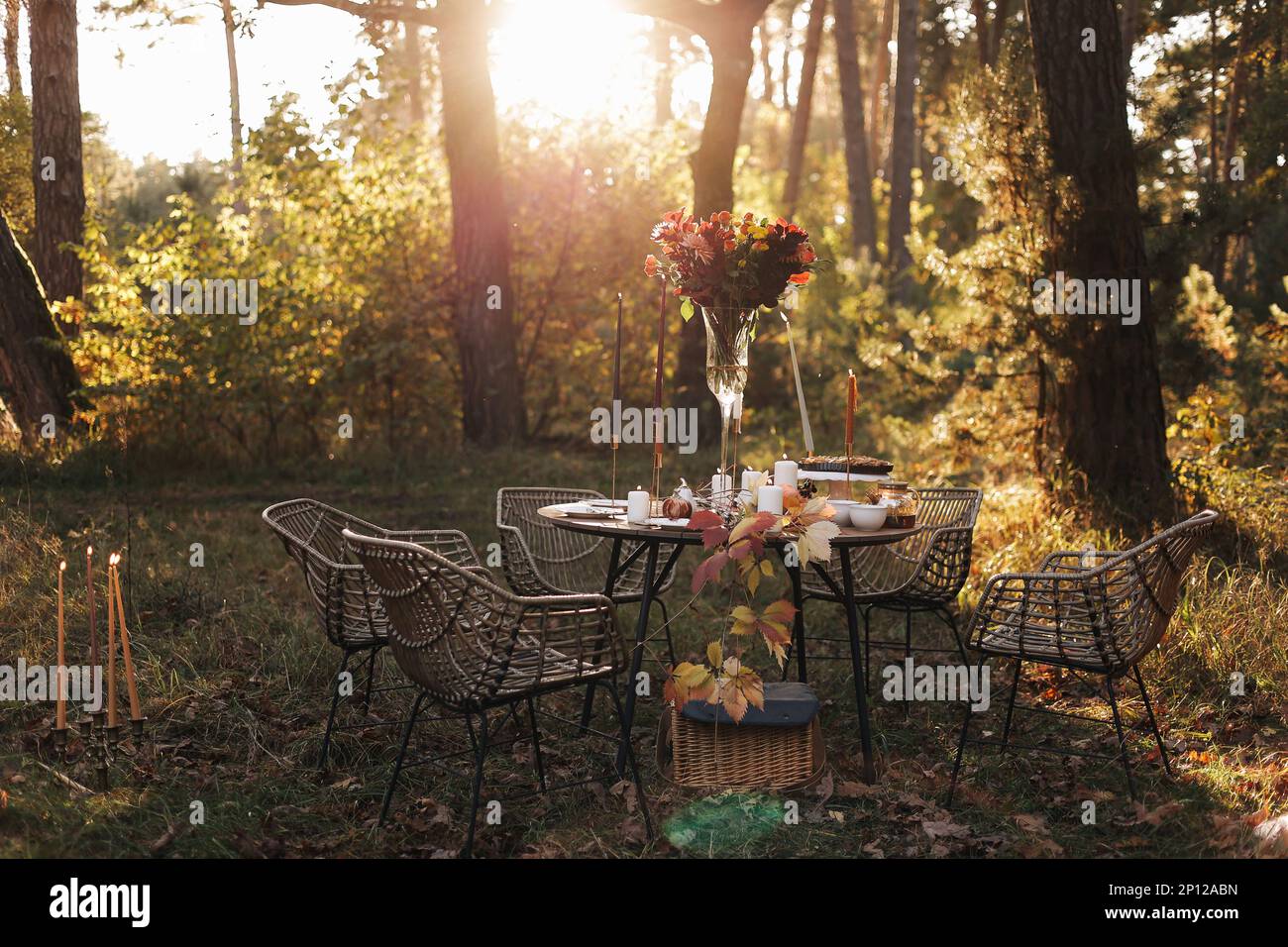 Cozy autumn picnic in the park. Close up of table setting with white