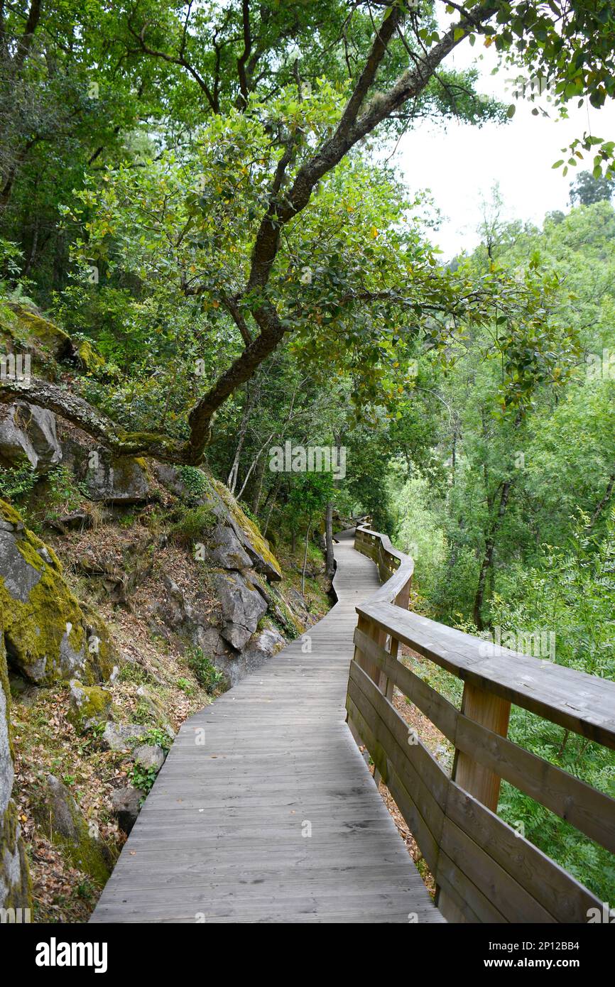 The wooden walkways in Passadicos do Paiva, paiva river, portugal Stock Photo