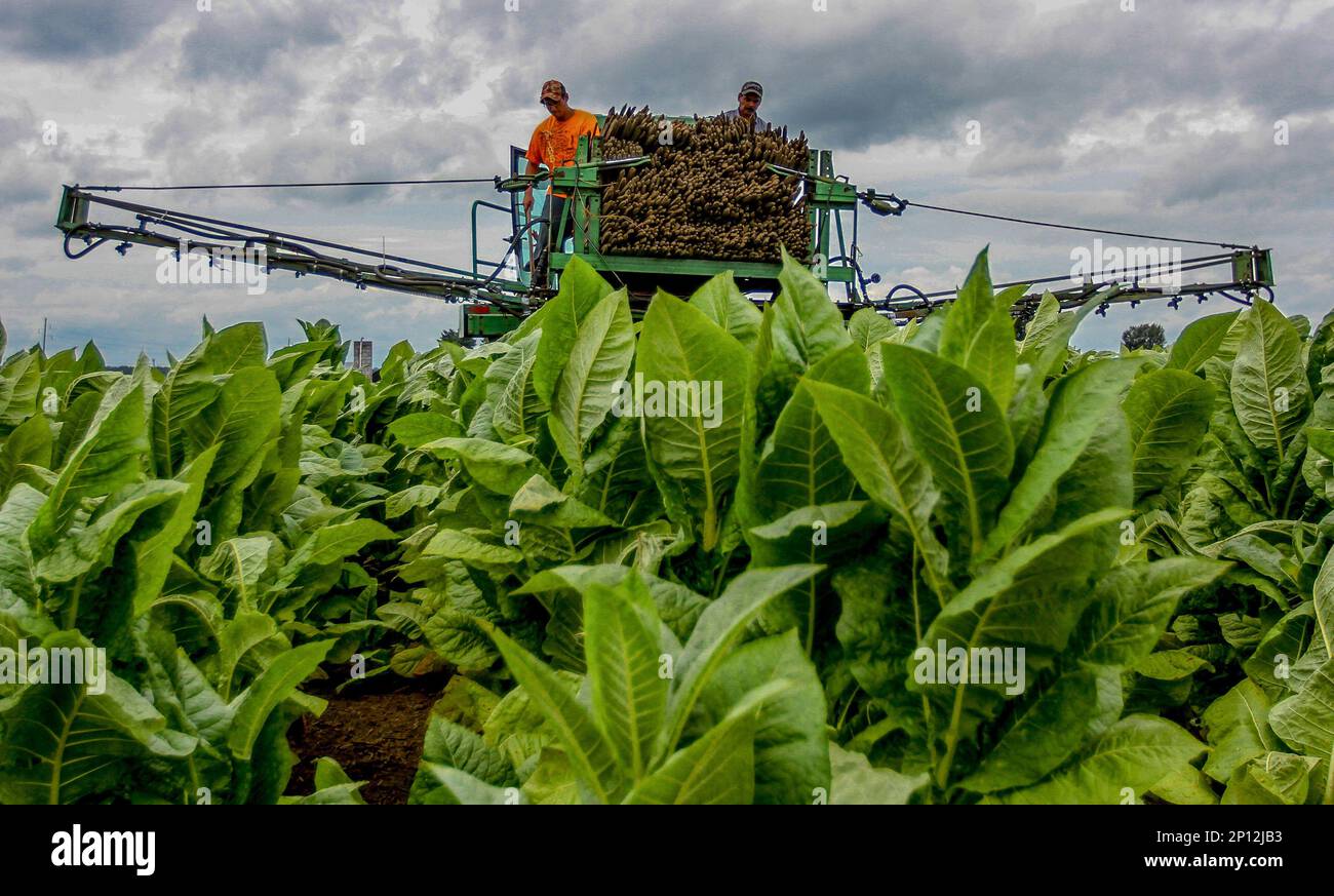 tobacco mart benton ar Smoking And Tobacco in Benton, AR