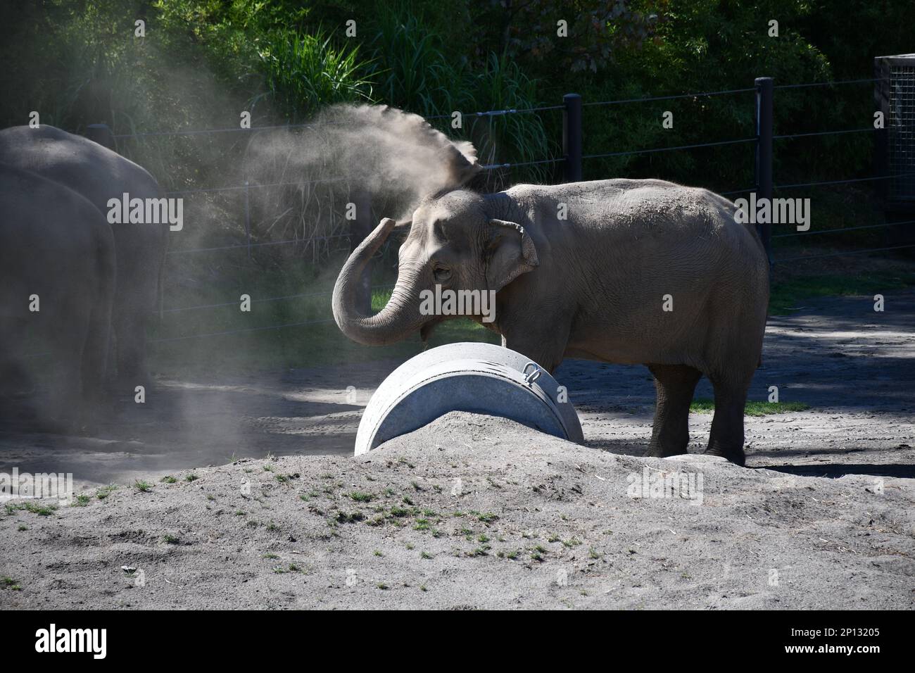 Enjoying the Portland zoo Stock Photo