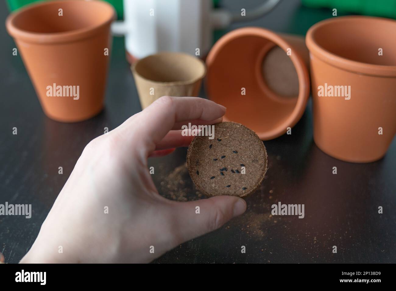 Hand on the background of pots, planting seeds. Stock Photo