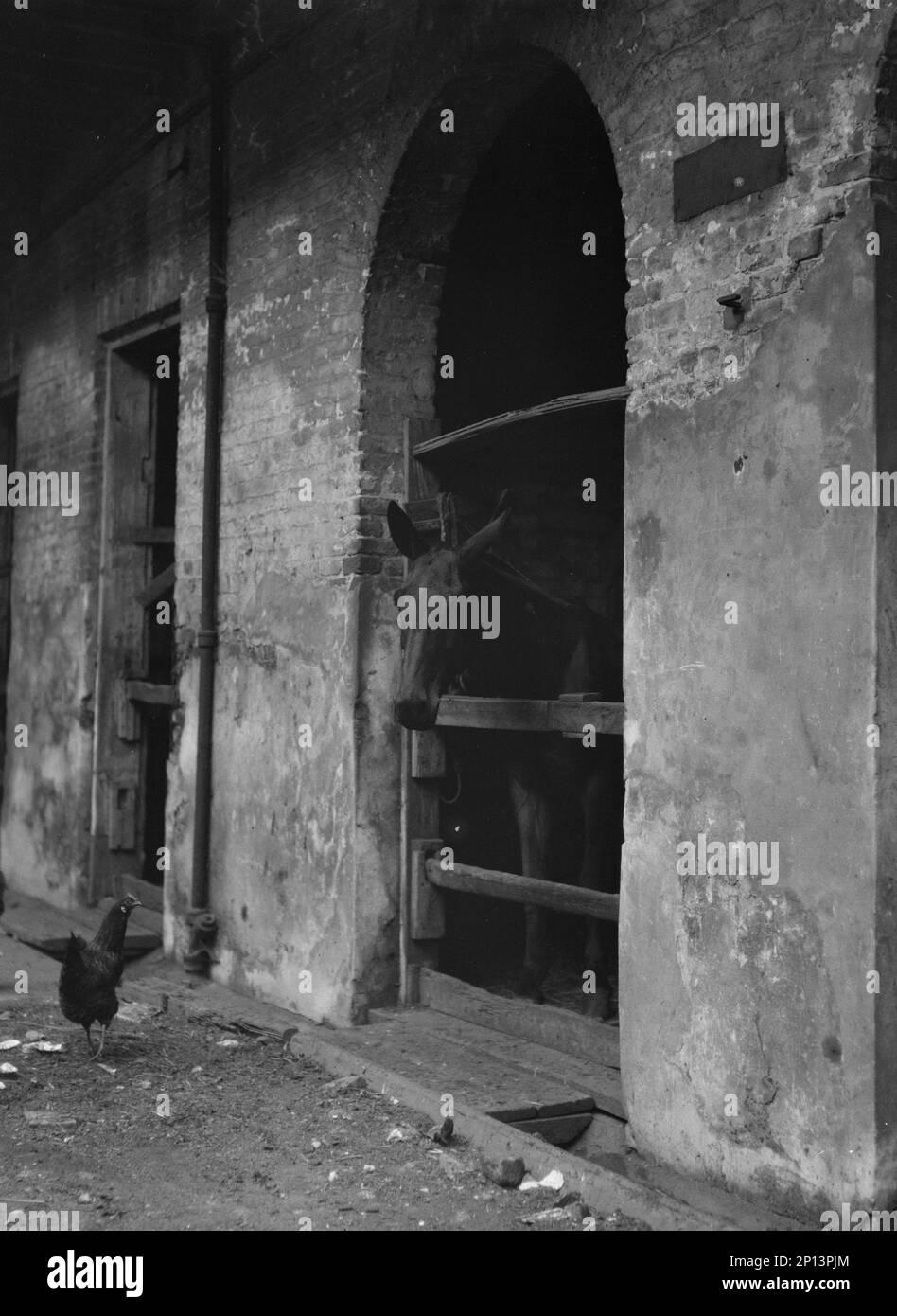 New stables Black and White Stock Photos & Images Alamy