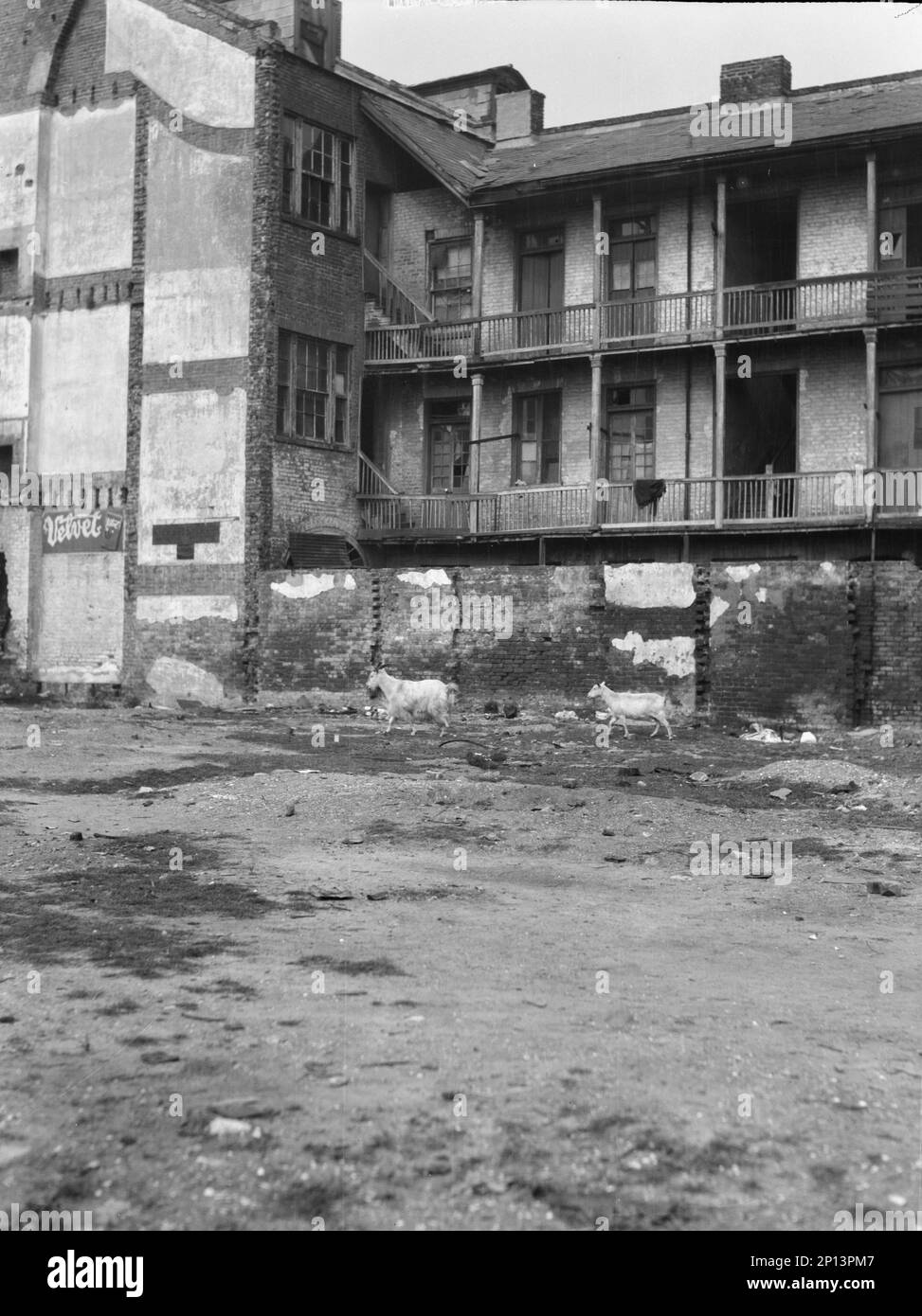 Slavery new orleans Black and White Stock Photos & Images Alamy