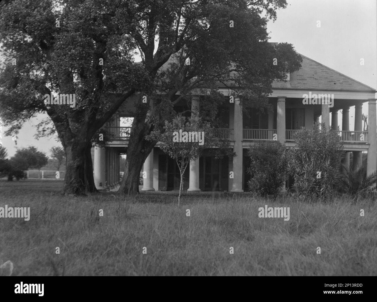 New orleans house tree Black and White Stock Photos & Images Alamy