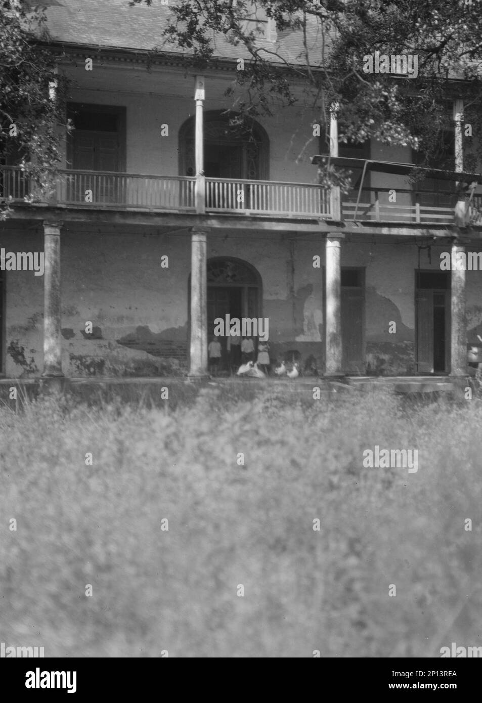 Sarpy plantation below the city of New Orleans, between 1920 and 1926