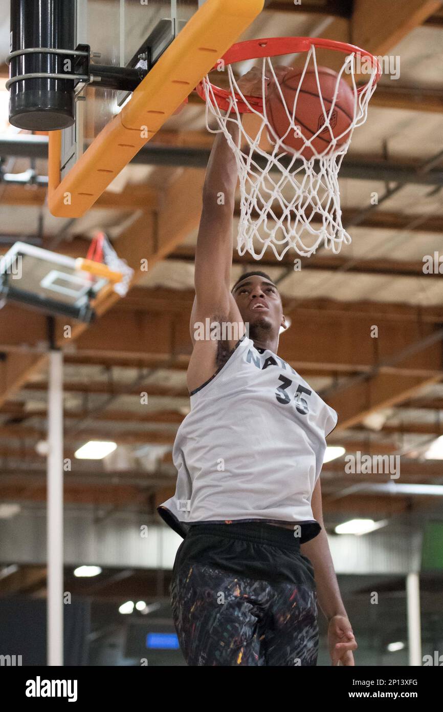 Adidas nations 2016 top