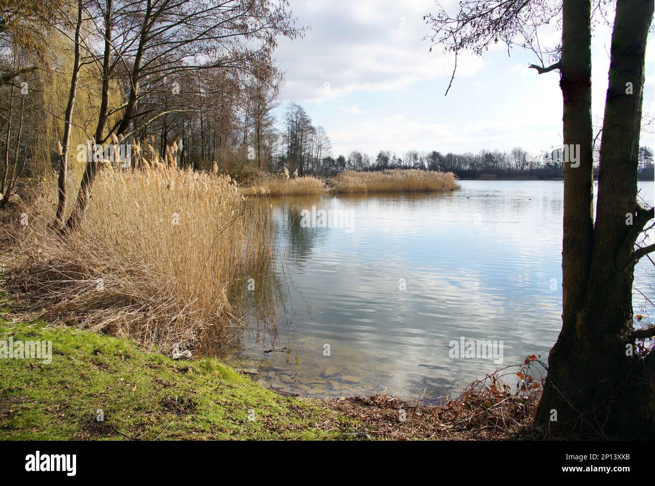 Am Mantinghasuser See Stock Photo