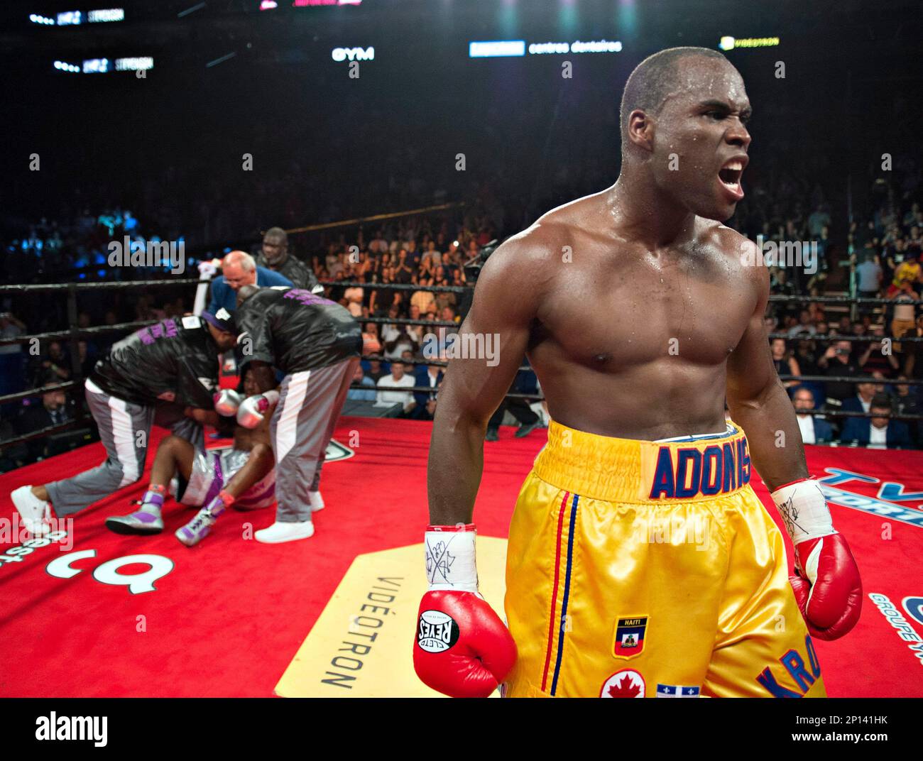 Adonis Wilkins