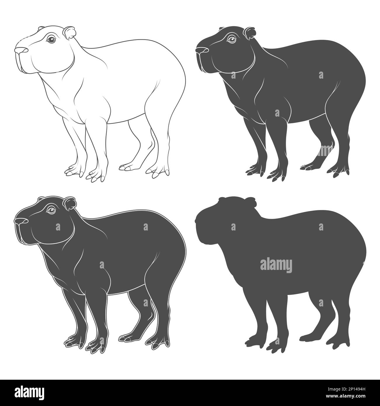 Set of black and white illustration with capybara. Isolated vector object on white background. Stock Vector