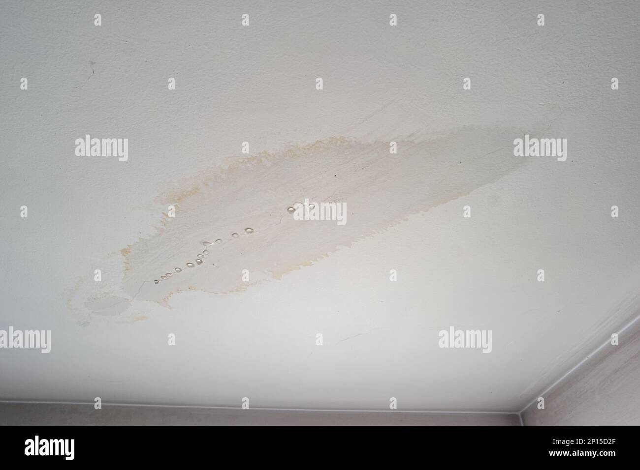 Leaky roof dampness in bedroom ceiling walls. Water droplets forming and dripping from damp