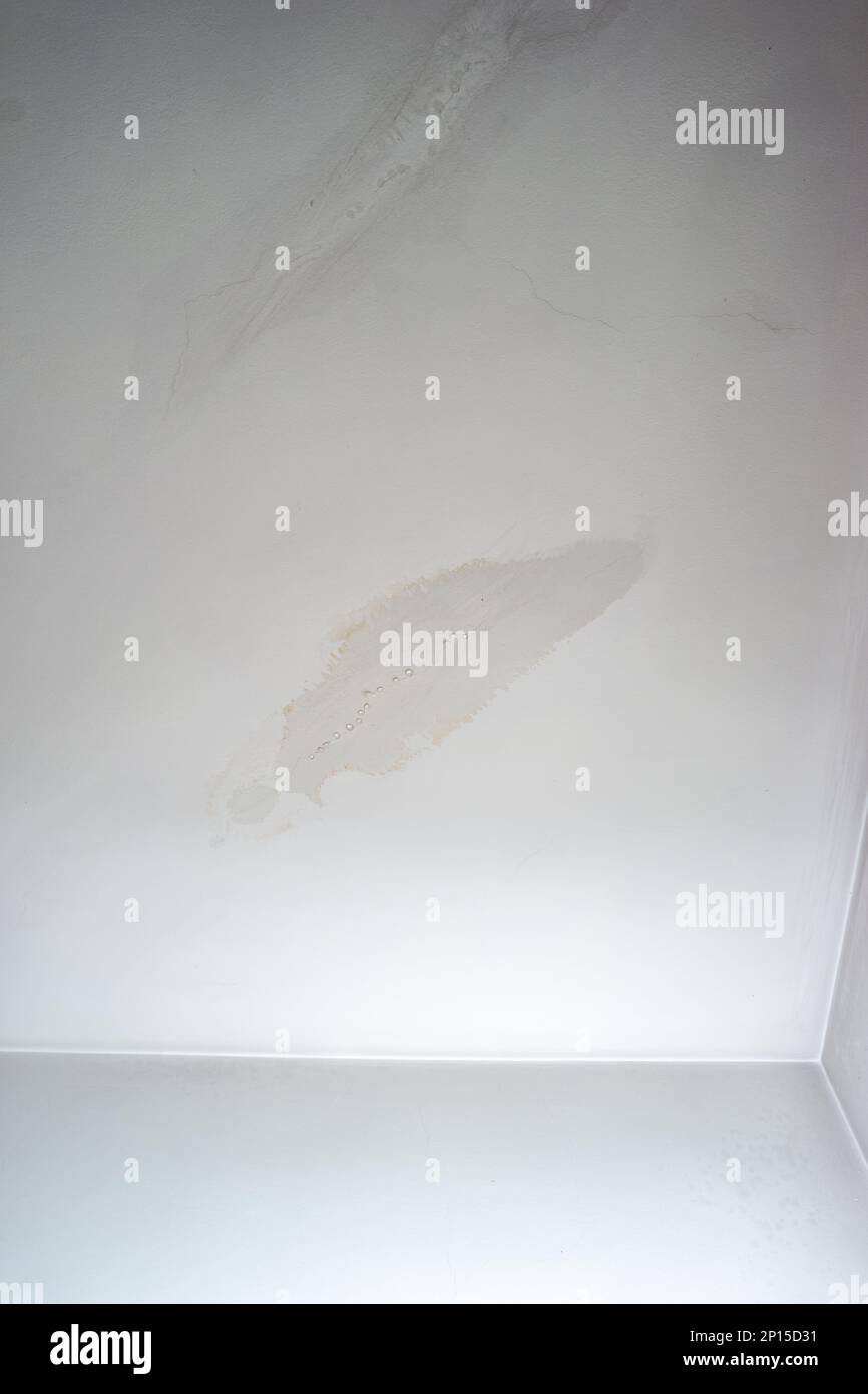 Leaky roof dampness in bedroom ceiling walls. Water droplets forming and dripping from damp