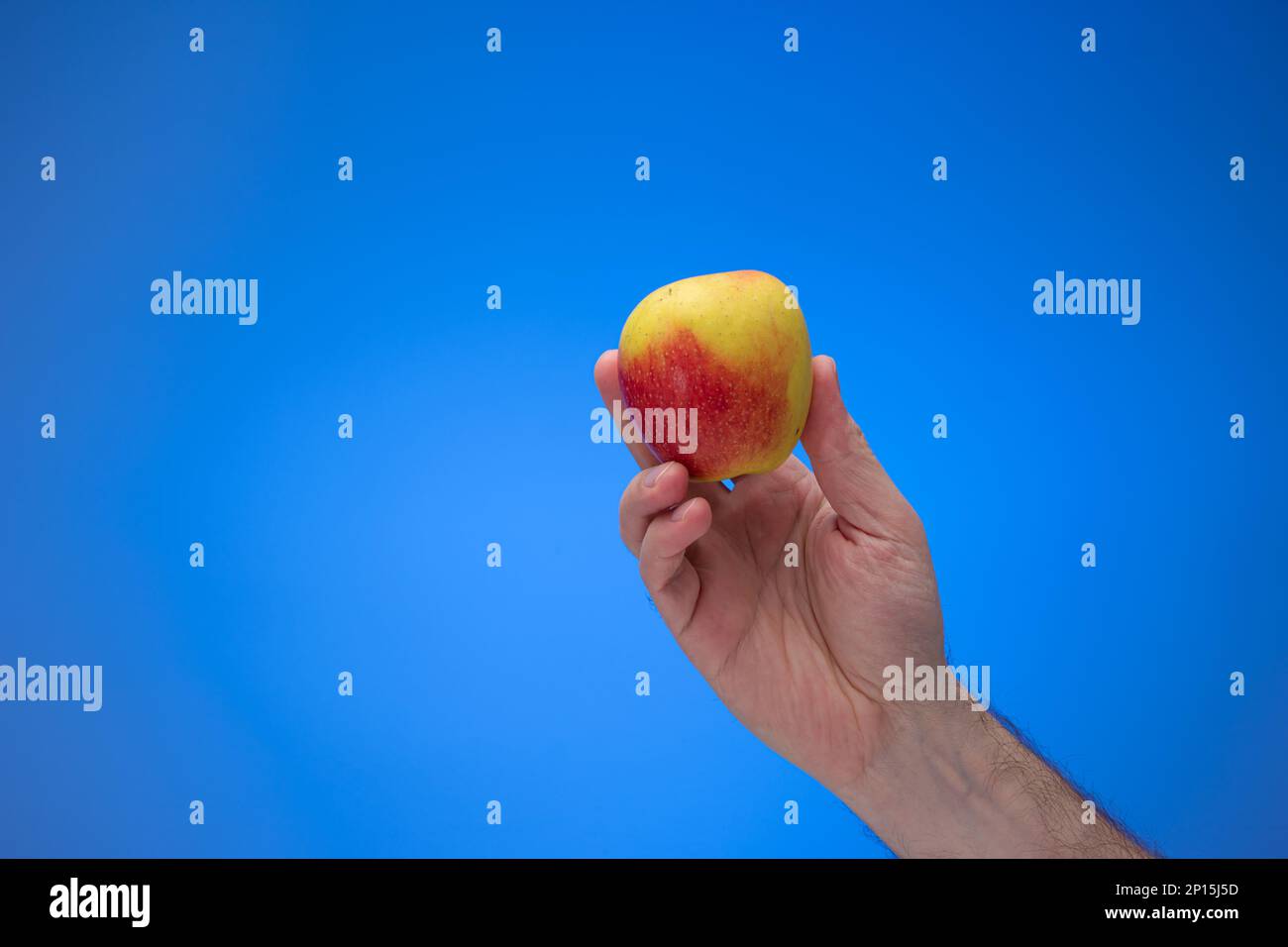 Caucasian male hand holding a ripe red apple. Close up studio shot, isolated on blue background. Stock Photo