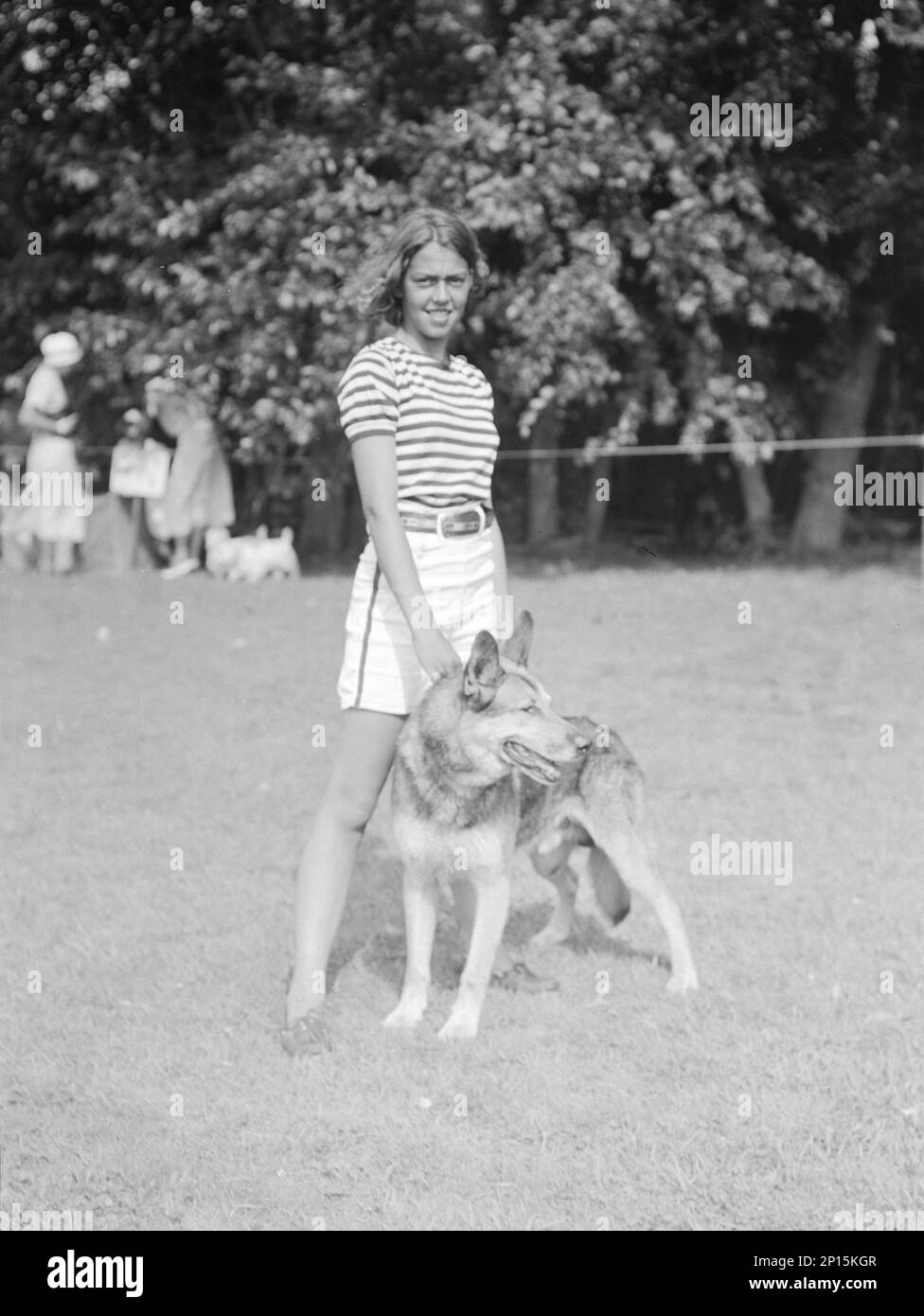 Dog show, East Hampton, Long Island, between 1933 and 1942 Stock Photo Alamy Dog show, East Hampton, Long Island, between 1933 and 1942 Stock Photo Alamy
