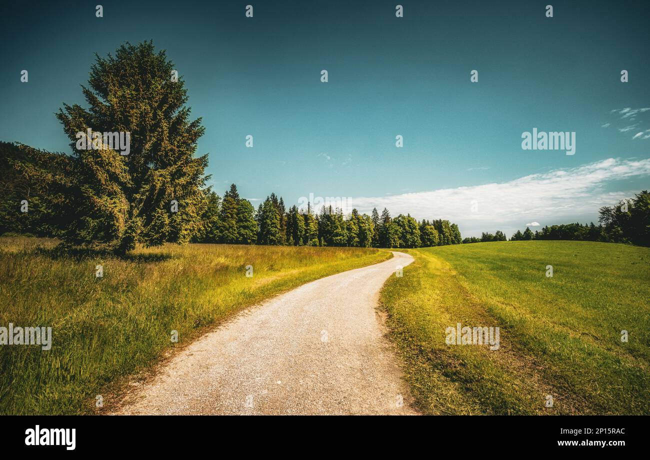 Blick über sanfte grüne Wiese mit Wanderweg,kurvig ,Horizont,Wandern,,Berge,blauer Himmel,Bäume,Tegernsee Stock Photo