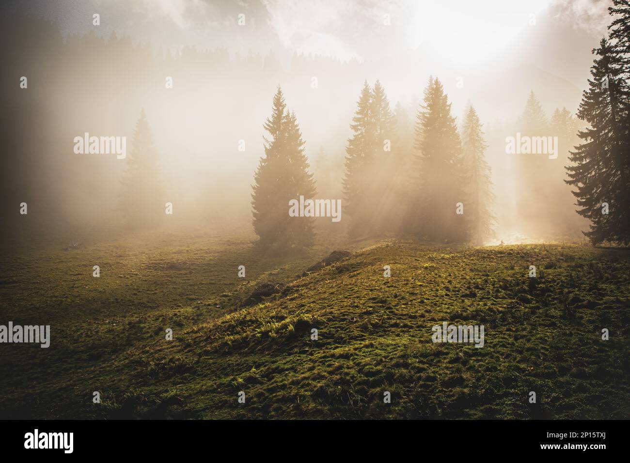 mystical foggy atmosphere in the mangfall mountains with the sun trying to break through,tegernsee, high quality photo Stock Photo