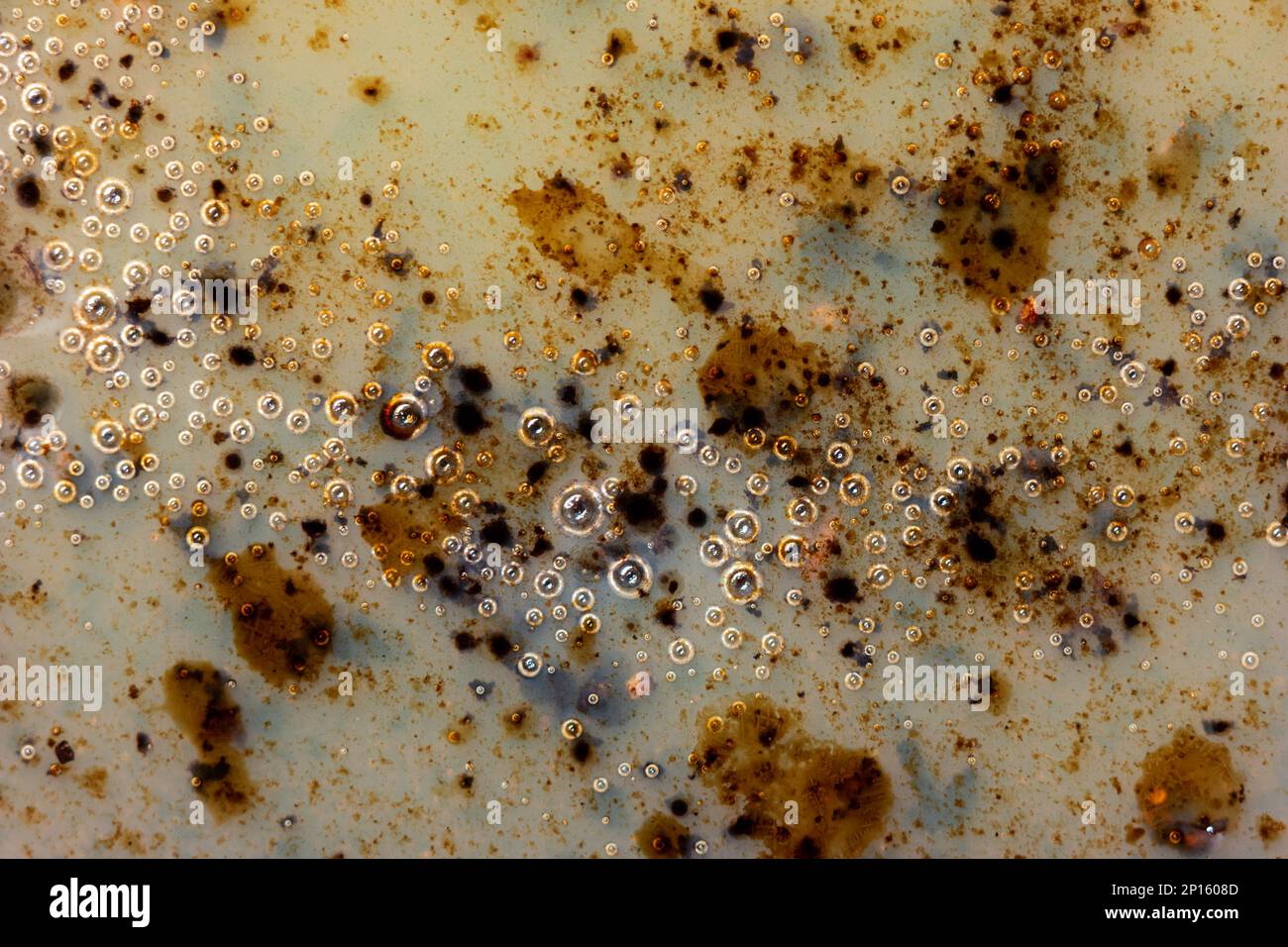 Burned oily leftover grease fat in a pan macro shot air bubbles top