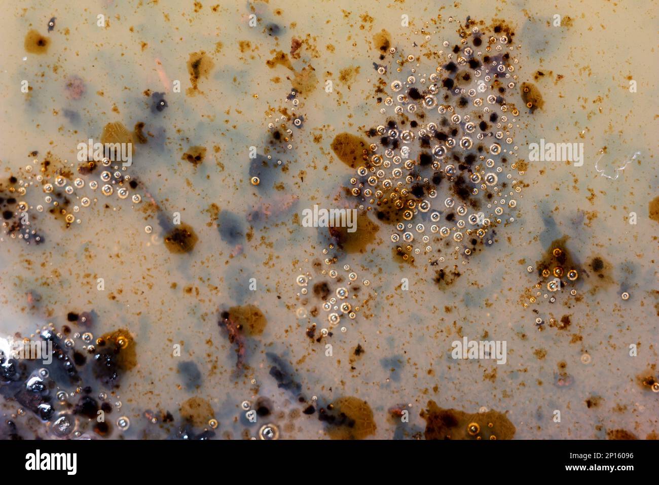 Burned oily leftover grease fat in a pan macro shot air bubbles top